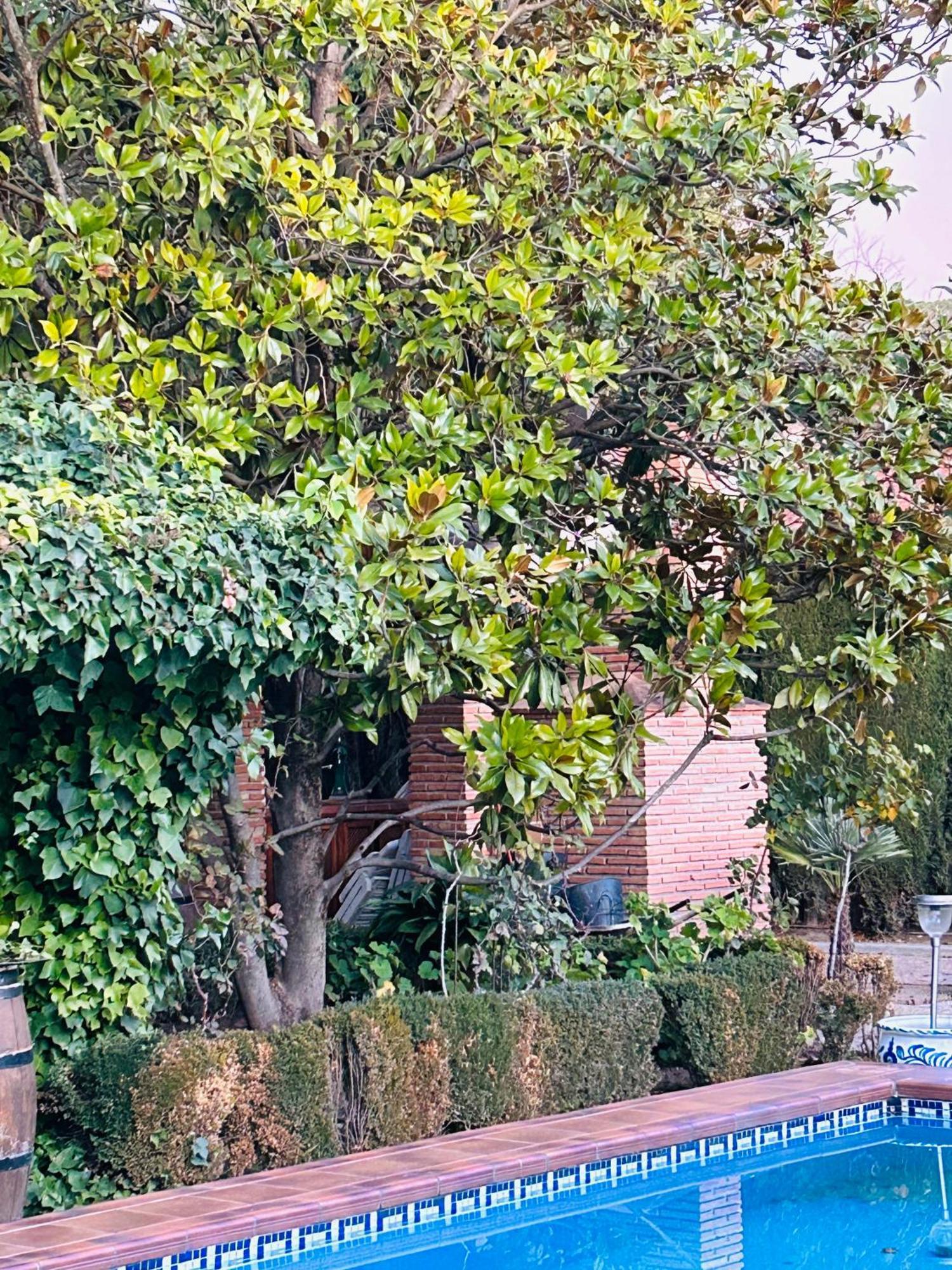 Vil·la Casa Rosales Alfacar