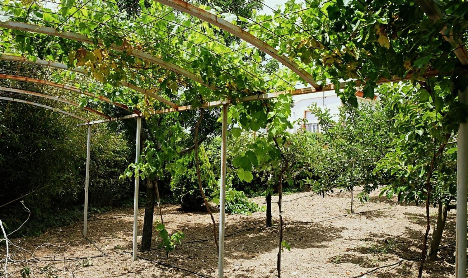 Casa Rosales Villa *