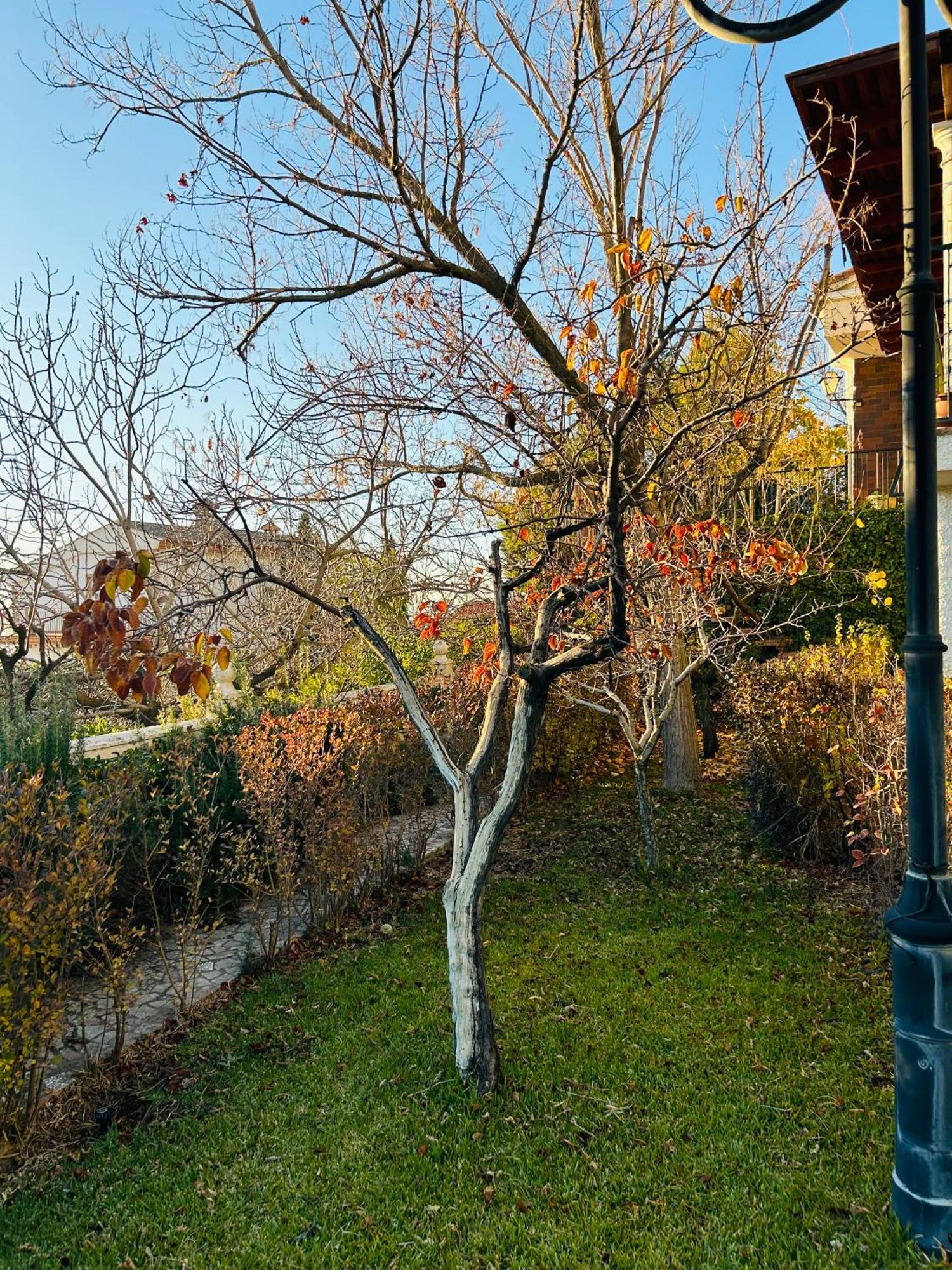 Villa Casa Rosales